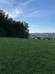 Green landscape and forestry atmosphere. Summer landscape on the roadside in the countryside. 
