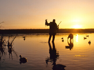Waterfowl hunter at sunrise silhouetted 