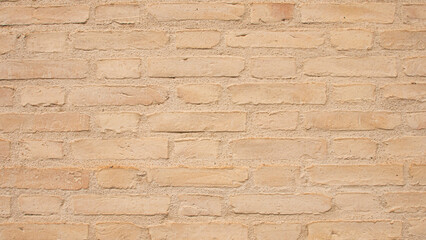 Detail of the texture of a wall made of bricks