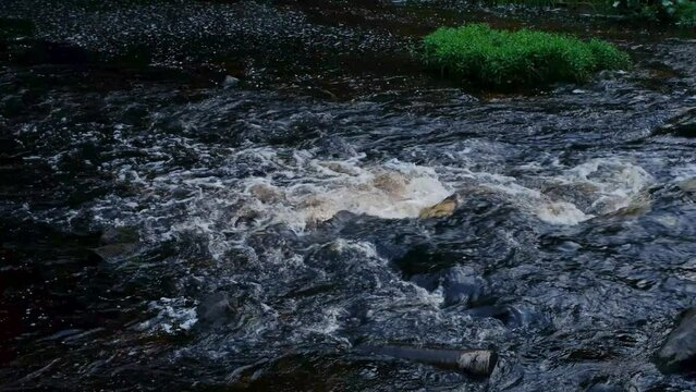 Stormy clear transparent mountain river flows quickly over stones. 4K slow motion footage. The concept nature of Russia. Valley of Waterfalls National Park in Karelia.