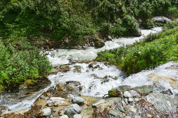 stream in the forest