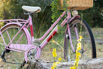 Fototapeta premium Cropped view of pink and red vintage bike with wicker basket in the park sorrounded by nature and flowers
