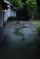 雨が降る朝の風景