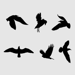 Flying Bird Silhouette collection set vector illustrations. 