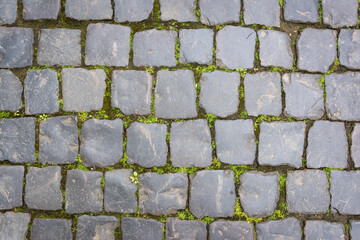  View from above onto stone pavement of urban street. Grass sprouts between tiles