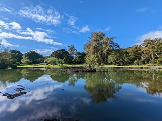 Fototapeta premium lake and forest