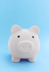 pink piggy bank on blue paper background