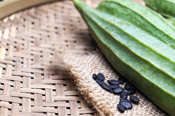 Ridges Gourd stock with seed