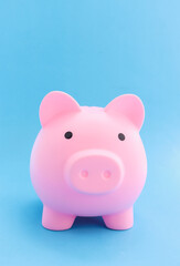 pink piggy bank on blue paper background