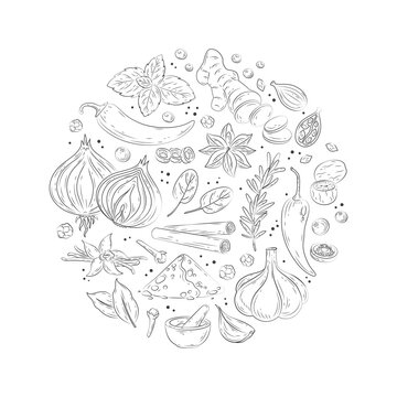 recommend clip art: Spices and herbs banner. Vector illustration of hand drawn kitchen herbs with vanilla, anise, ginger, cinnamon, curry, basil, garlic, pepper, rosemary. Popular indian spices in doodle style for menu