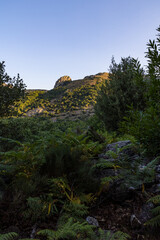 Fototapeta na wymiar Paysage au lever du soleil sur les montagnes autour du Sentier du Col de la Maure à Mons dans le Parc naturel régional du Haut-Languedoc