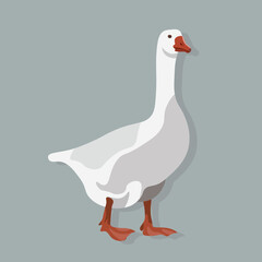 White cartoon goose isolated on background