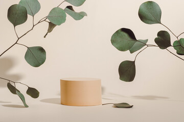 Aesthetic showcase with eucalyptus leaves and shadows. Minimal product podium, beige and brown tones