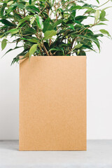Blank paper card with houseplant, minimal aesthetic background with copy space. Business brand, social media, logo template