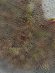water drops on a metal surface