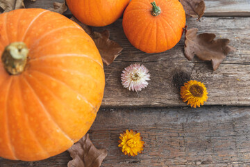 Autumnal Background. Natural autumn fall view pumpkins on wooden background. Inspirational october...