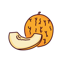 Melon and half color line icon. Pictogram for web page