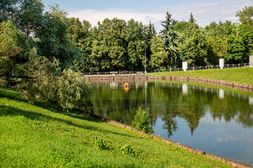 View of the city pond with a green shore, trees, wooden piles and their beautiful reflections in the water on a clear sunny day. Nature landscape rivers ecology.