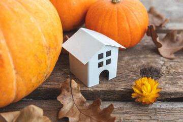 Autumnal Background. Toy house and pumpkin on wooden background. Thanksgiving banner copy space....