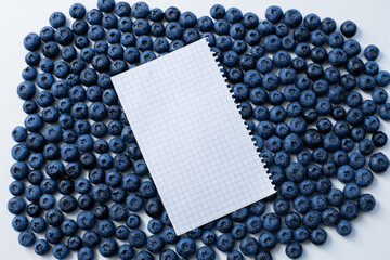Fresh blueberries background with copy space for your text. Vegan and vegetarian concept. fresh berries for healthy nutrition