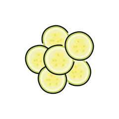 Chopped zucchini color line icon. Natural vegetable.