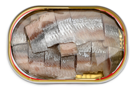 Herring fish in metal jar