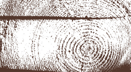 wood rings imprint  vector  illustration