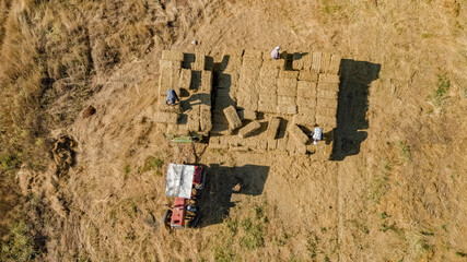 Farmers loading dry straws onto a big pile. Birds eye look.