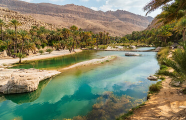 View of the Wadi Bani Khalid oasis in the desert in Sultanate of Oman. - obrazy, fototapety, plakaty