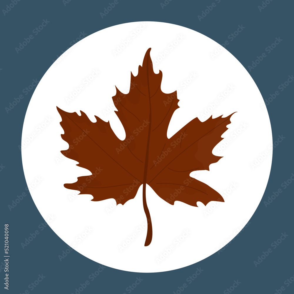 Wall mural autumn maple leaf. vector maple leaf icon. vector icon of a brown maple leaf