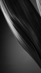 モノクロの葉っぱ　ハラン