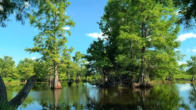 Sheldon Lake reservoir, Houston, Texas