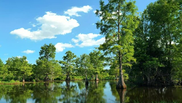 Sheldon Lake reservoir, Houston, Texas