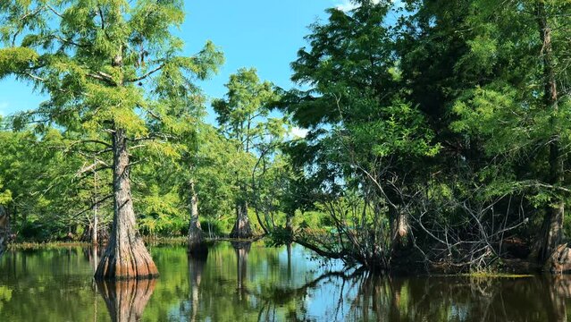 Sheldon Lake reservoir, Houston, Texas