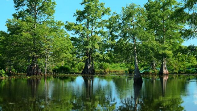 Sheldon Lake reservoir, Houston, Texas