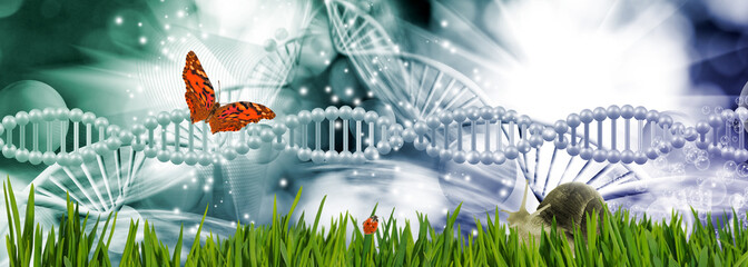 Butterfly, ladybug, snail in the grass against the background of DNA chains.