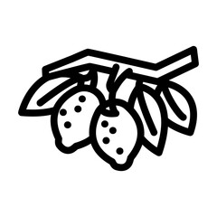 branch lemon plant line icon vector. branch lemon plant sign. isolated contour symbol black illustration