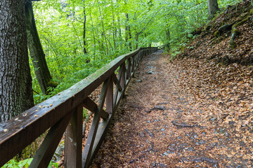 Footpath covered with foliage in fall near Punkva caves in the Moravian Karst, Czech Republic