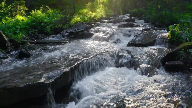 Mountain river flowing inside mysterious forest. Water splases stone rapids at sunset.