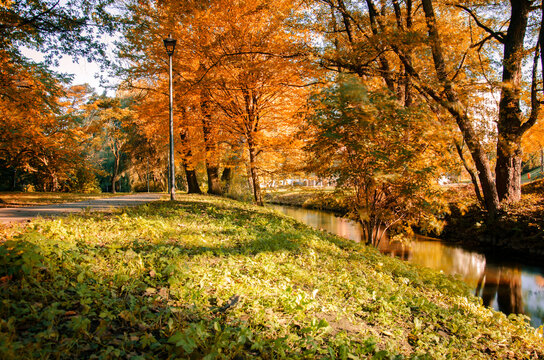 Autumn day in the park