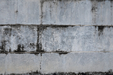 fungi on the wall,Texture of old dirty concrete wall for background
