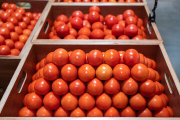 Fresh red tomatoes in basket on a supermarket. Healthy food concept.