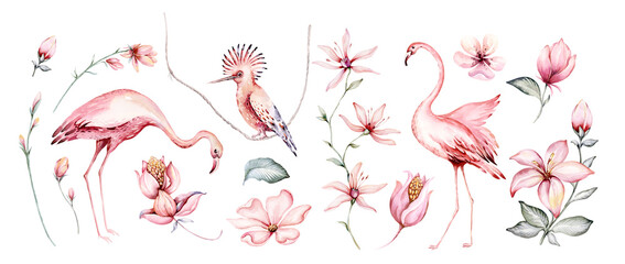 Tropical watercolor set birds hummingbird, monkey and jaguar, exotic jungle plants palm banana leaves flowers, flamingo pastel color seamless fabric background
