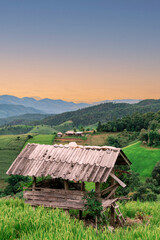 Fototapeta na wymiar Ban pa pong piang rice terraces at chiangmai,This is the most beautiful rice terraces in Thailand