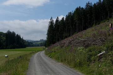 Fototapeta na wymiar Landscape in the german area called Orketal in the mountains of Rothaargebirge