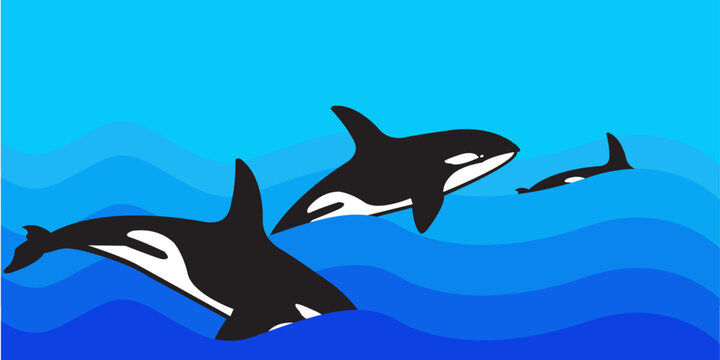 vector drawing of waves with killer whales.