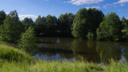 a forest lake on a sunny summer day