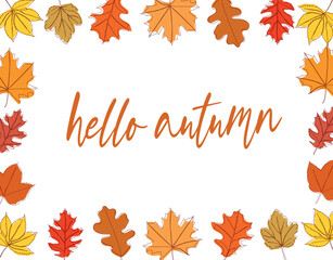 Hello, Autumn. Set of autumn leaves and inscription hello autumn. Vector illustration isolated on white background