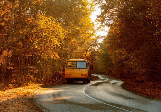 Aerial view of road with school bus in beautiful autumn forest a