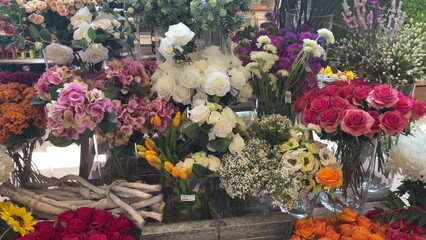 vertical tilt of different kinds of ornamental flowers in the interior of a flower nursery or flower shop, yellow, red, pink and white flowers, 4k resolution